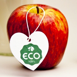 Экологичные бирки для фруктов из посевной бумаги
